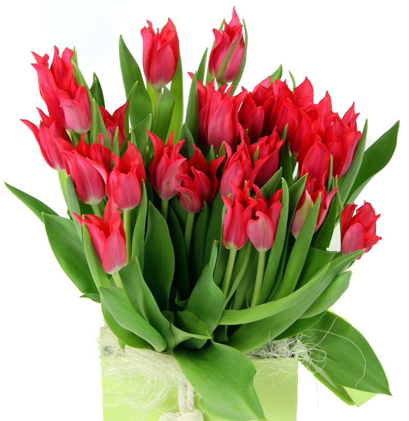 The first flowers of Summer at Flowers24hours same day flower delivery shop